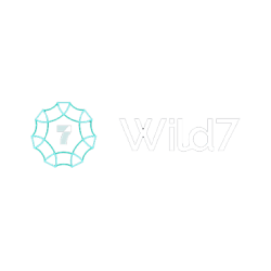 Wild 7 Casino